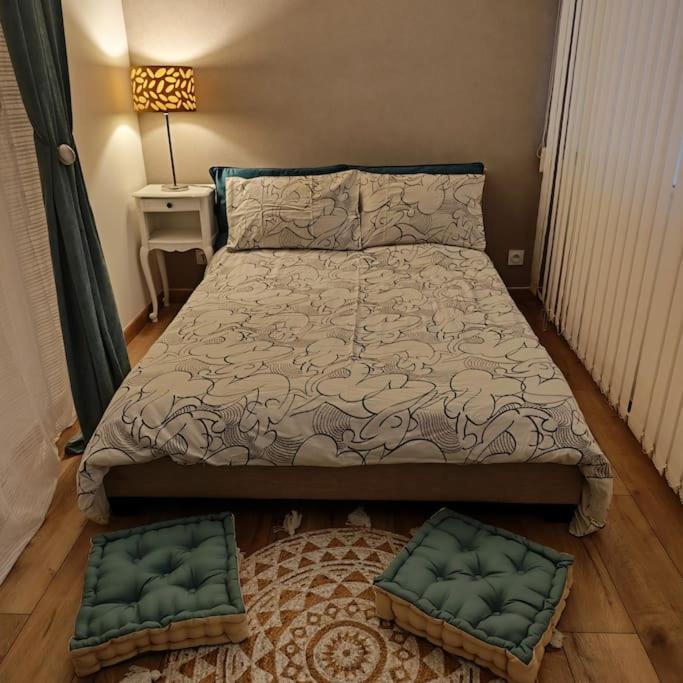 Superbe Cosy Duplex Appartement T3 Charpenne Tete D'Or Avec Parking Prive Gratuit Villeurbanne Ngoại thất bức ảnh