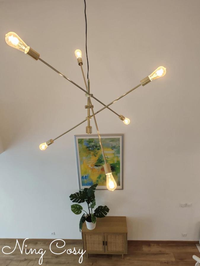 Superbe Cosy Duplex Appartement T3 Charpenne Tete D'Or Avec Parking Prive Gratuit Villeurbanne Ngoại thất bức ảnh