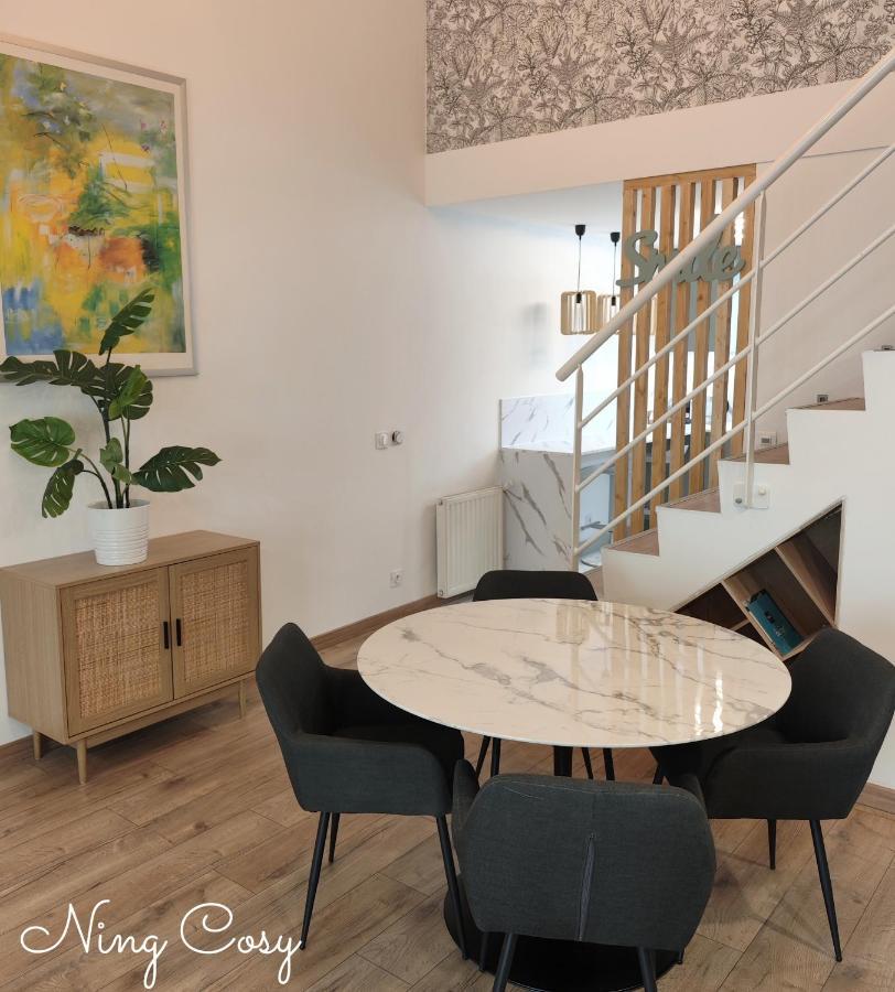 Superbe Cosy Duplex Appartement T3 Charpenne Tete D'Or Avec Parking Prive Gratuit Villeurbanne Ngoại thất bức ảnh