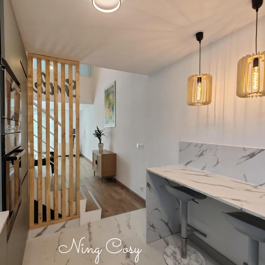 Superbe Cosy Duplex Appartement T3 Charpenne Tete D'Or Avec Parking Prive Gratuit Villeurbanne Ngoại thất bức ảnh