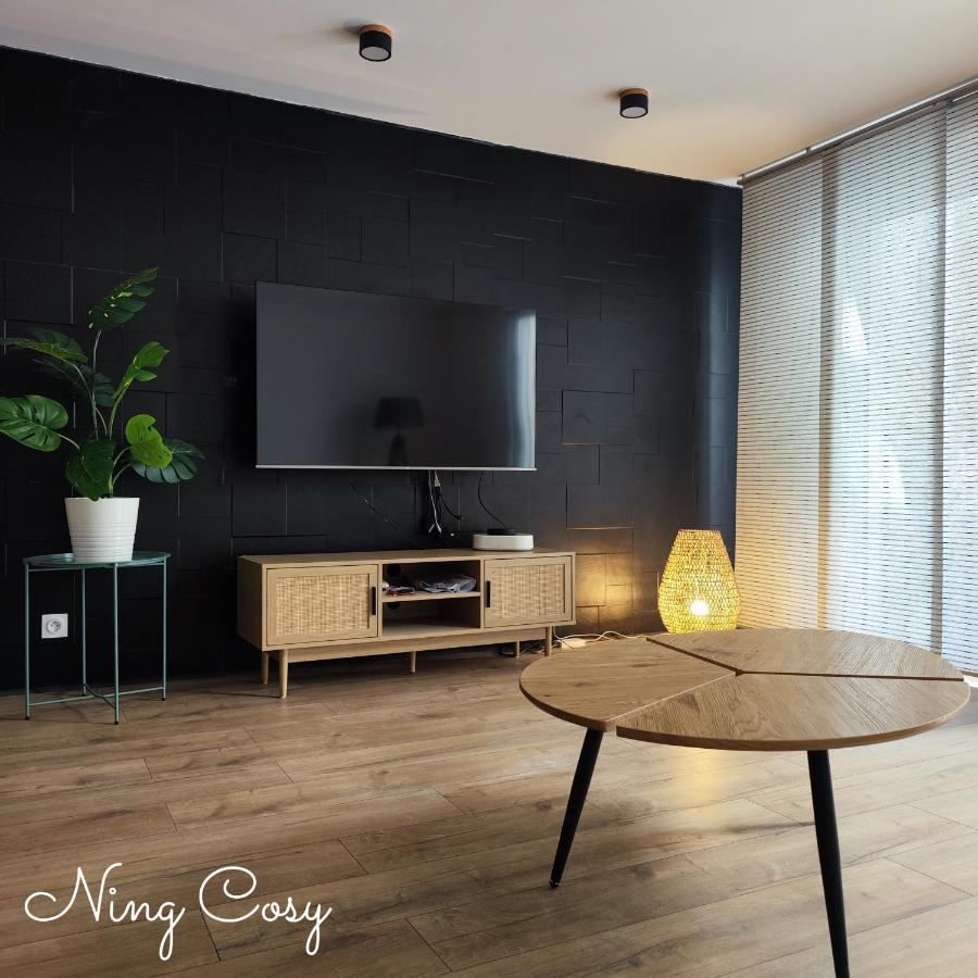 Superbe Cosy Duplex Appartement T3 Charpenne Tete D'Or Avec Parking Prive Gratuit Villeurbanne Ngoại thất bức ảnh